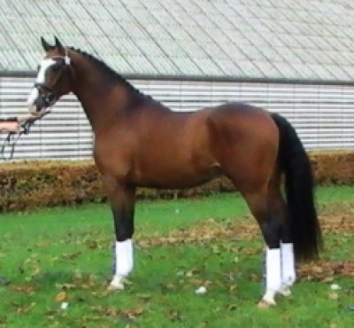 Heartland forbesigtigelse